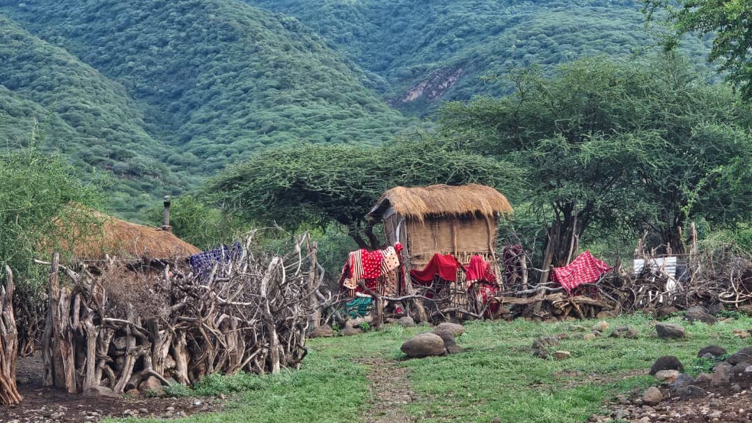 Maasai Homestay Cultural Tour